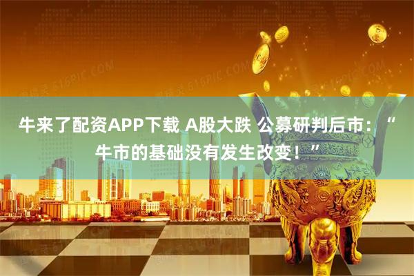 牛来了配资APP下载 A股大跌 公募研判后市：“牛市的基础没有发生改变！”