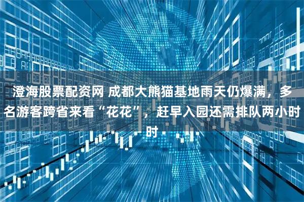 澄海股票配资网 成都大熊猫基地雨天仍爆满，多名游客跨省来看“花花”，赶早入园还需排队两小时